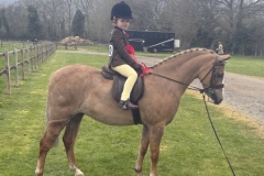 Ruby-Roberts-Horse_Pony-Colne-Tatsuki