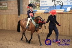 Phoenix Parry and Amesbury Valentino