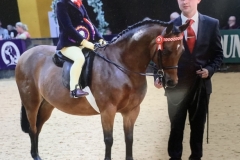 Betsy-May-Allen-and-Wytchwood-wood-love-Potion