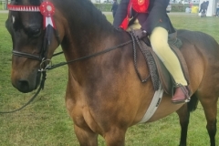 Evie-Roythorne-and-Amesbury-Bonita