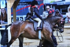 Pippa-Jo-Jackson-Houston-and-Chaseford-Tip-Top