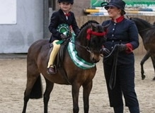 Freddie-Purnell-and-Amesbury-Bumble-Bee