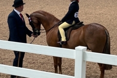 Florence-Milczarek-and-Elmswood-Spring-Fling