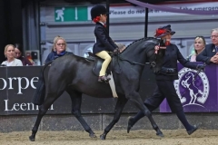 Darcii-Simmonds-Horse_Pony-Barkway-dancing-queen