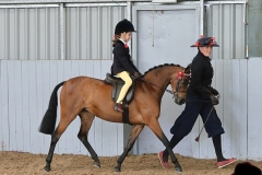 Ottilie-Stewart-Horse_Pony-Chaseford-Actress