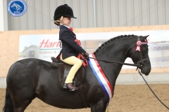 Penelope-Rae-Dale-Horse_Pony-Barkway-BlackBerry-