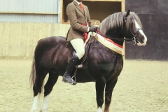 Renvarg Robin Hood and Richard Clough