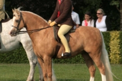 Rowen Hilton and Milford fair breeze
