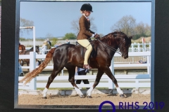 Daisy conibear and Thistledown americano