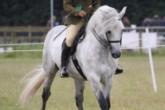 Jo Rose and Castle Wizzard