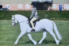 Bluebell-and-Crumpwell-Finella