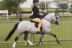 Jessica-morgan-and-Thistledown-the-special-one