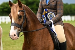 Alex-Coe-and-Corstan-Valero