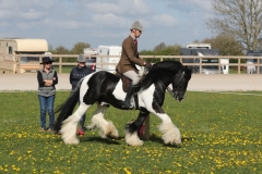 David-Bennett-and-Johnboy