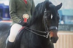 Ellis-Priestley-and-Perthog-Sir-Terry-