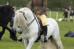 Georgie-Lewis-Roberts-and-Clifford-Blue-Chip