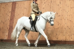 Kitty-Concannon-and-Bridgos-Knight