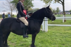 Olivia-Swailes-and-Dalefoot-Amber-II