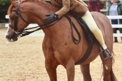 Brogan-Douglas-Jones-and-Carrwood-Valentine