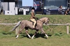 Ebony-Campbell-briggs-Horse_Pony-Richvale-penny-farthing