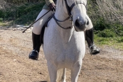 Emma-Last-Horse_Pony-Kilimazing-Kwanza