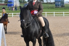 Nicola-Clarey-Horse_Pony-Nipna-Outrageous