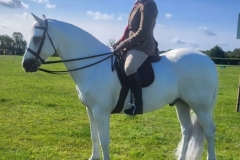 Olivia-Rocks-Horse_Pony-Ower-Glenlo-Boy