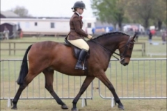 Alicia-Light-and-Gallant-George