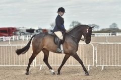 Olivia-Rocks-and-Sir-Control