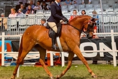 Zoe-Burton-and-Rotherwood-Peeping-Star