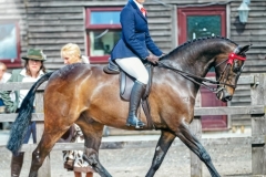 Miss-Hannah-Whelan-ans-Diptford-Birdsong