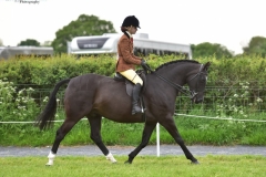 Shania-Crayston-and-Doylan-Dark-Temptation