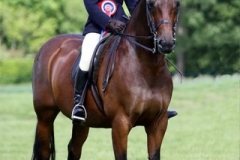 Bonjour and Caitlin Few