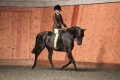 Charlotte-Goor-and-Underhill-Bobcat