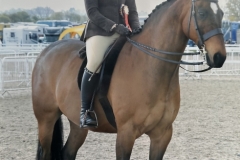 Darci-barnes-and-Greylands-Sundance-kid