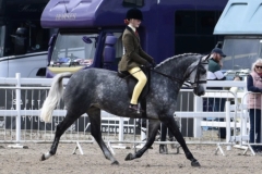 Isobel-Miller-and-Dinky-Dolphin