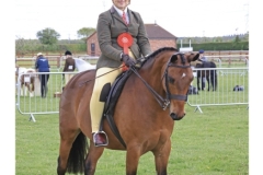 Lilly-Stewart-and-Firecracker-Charlie