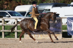 brogan-douglas-jones-and-Annandale-Royal-Jubilation