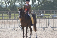 Brogan-Douglas-Jones-Horse_Pony-Annandale-Royal-Jubilation