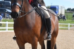 Lottie-Joanna-Rawlings-Watson-Horse_Pony-Lord-Mount-Brown