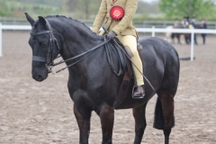 Luna-Hannell-Horse_Pony-Megland-Othello