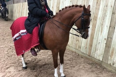 Cadlanvalley Orpheus and Chloe neve