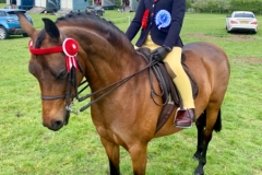 Darcie Dhillon and Sandboro Lovechild copy