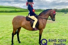 Darcie Dhillon and Sandboro Lovechild_