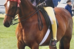 Ellie Dean and Anndalyse Maddison Park