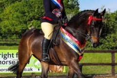 Hollie crowe and Stanley grange sea shells-2