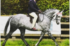 Kai Wood and Gems Sea Eagle