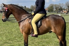 Chloe-ridgett-and-Styalways-Royal-Marquis