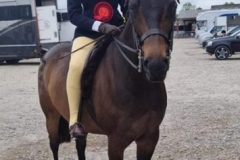 Isabel-Goodall-and-Showland-Mister-Beaujangles