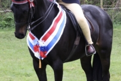 Pearl-Morris-and-Field-Aston-Diamante